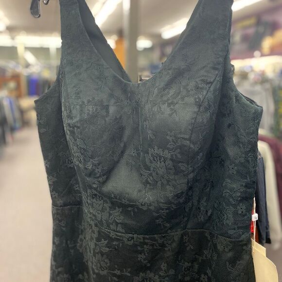 Lan Ting Sz. 16 2pc Lace Gown w/Cover NEW - Picture 2 of 8